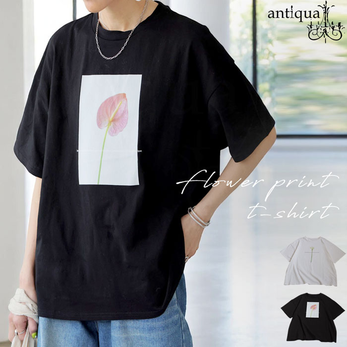 花柄プリントTシャツ レディース 半袖 トップス 綿100・6月3日0時～発売。(80)メール便可