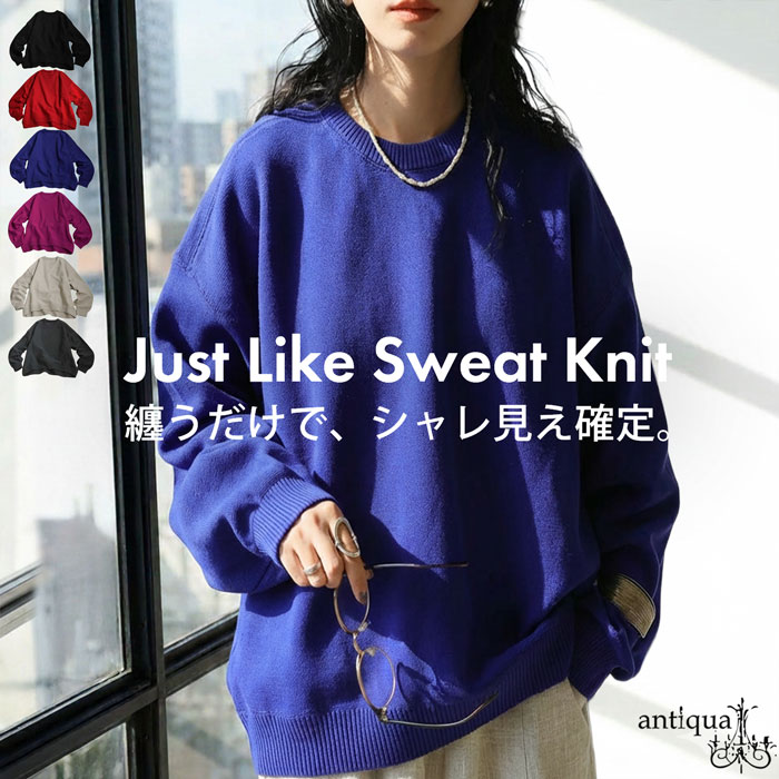 ニット レディース トップス クルーネック 長袖 送料無料・メール便