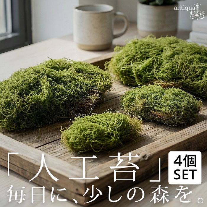 ポイント10％！2月25日20時～3月26日10時フェイクグリーン 苔 人工苔 4個セット インテリア 雑貨・メール便不可
