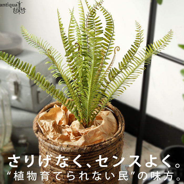 フェイクグリーン 観葉植物風 インテリア 造花 ディスプレイ・メール便不可