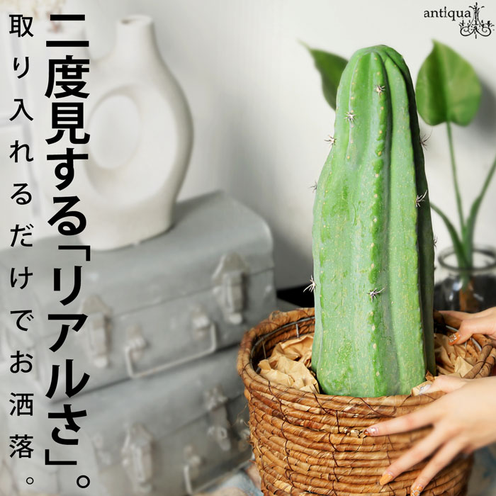フェイクグリーン サボテン インテリア 造花 グリーン 送料無料・メール便不可