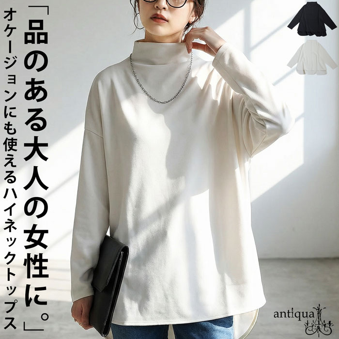 フォーマルitem2点10％OFF！26日10時まで ハイネック トップス レディース 長袖 プルオーバー 送料無料・(100)メール便可(返品・キャンセル・交換不可)