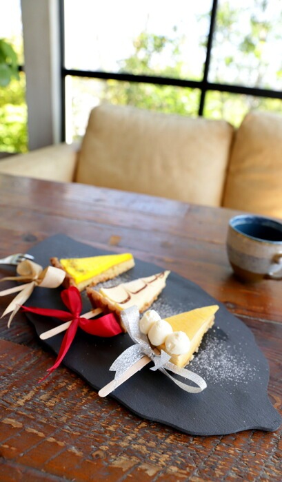 スレートプレート 皿 リーフ型 40cm 食器 5枚組 送料無料・メール便