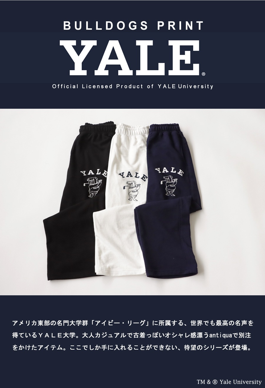 別注 YALE ANTIQUA GOLF ロゴパンツ メンズ 送料無料・メール便
