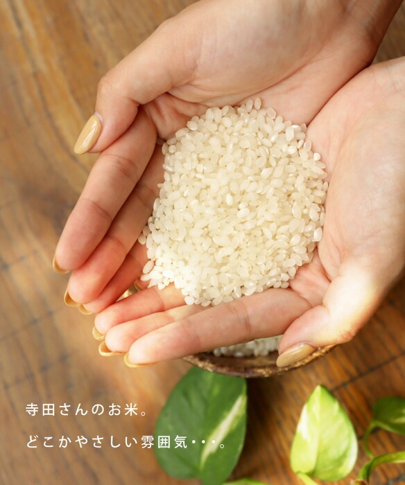 【ふたご出品】いのちの壱☆25㎏☆無農薬栽培☆令和4年産☆ いのちの壱の産直通販・お取り寄せ商品｜ポケットマルシェ｜産地