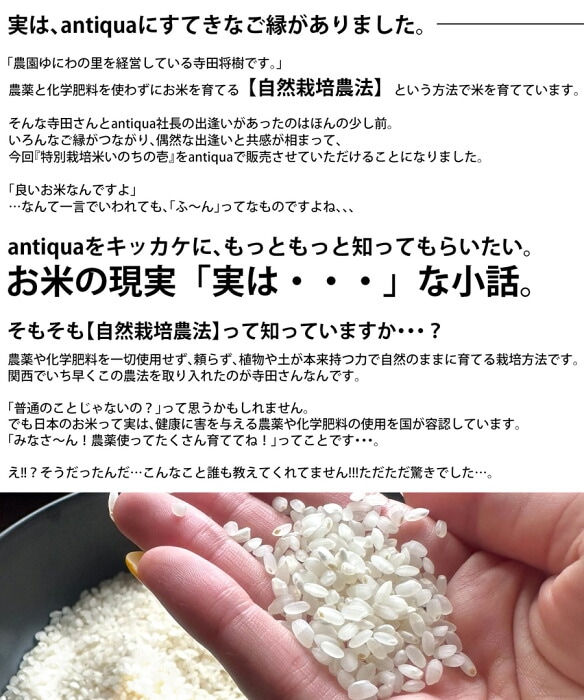 メディアでも話題!!お問い合わせ殺到!?自然栽培農法で育てた安心安全