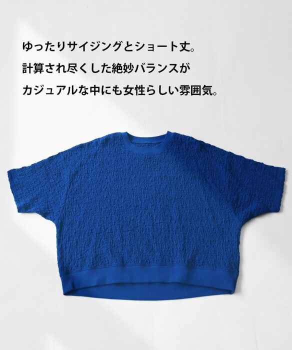 ショート丈プルオーバー カットソー レディース トップス 半袖