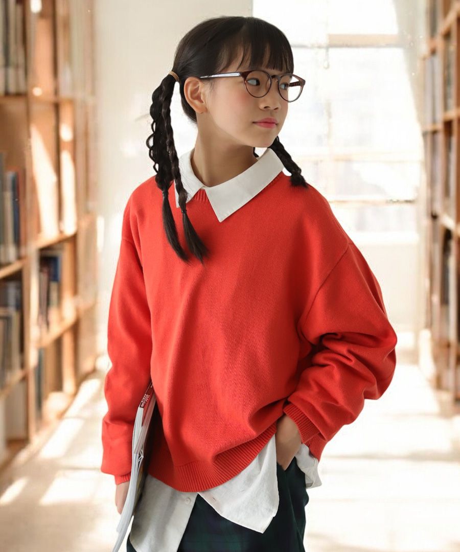 新春BIGバーゲン30％OFF！6日10時迄】洗える ニット トップス 長袖