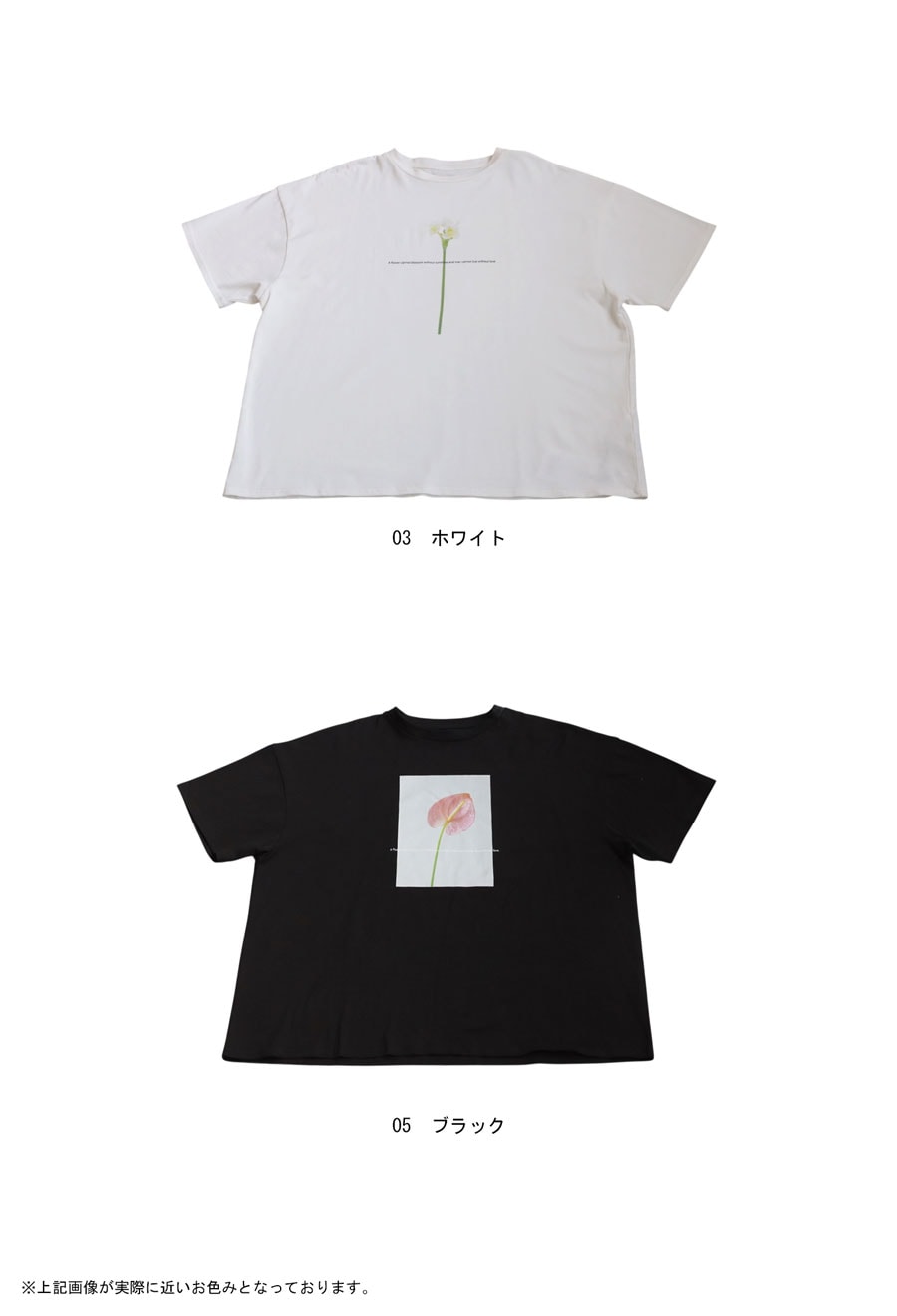 花冷え。 バンドTシャツ 過去作 入手不可 花冷え。 バンドTシャツ 過去