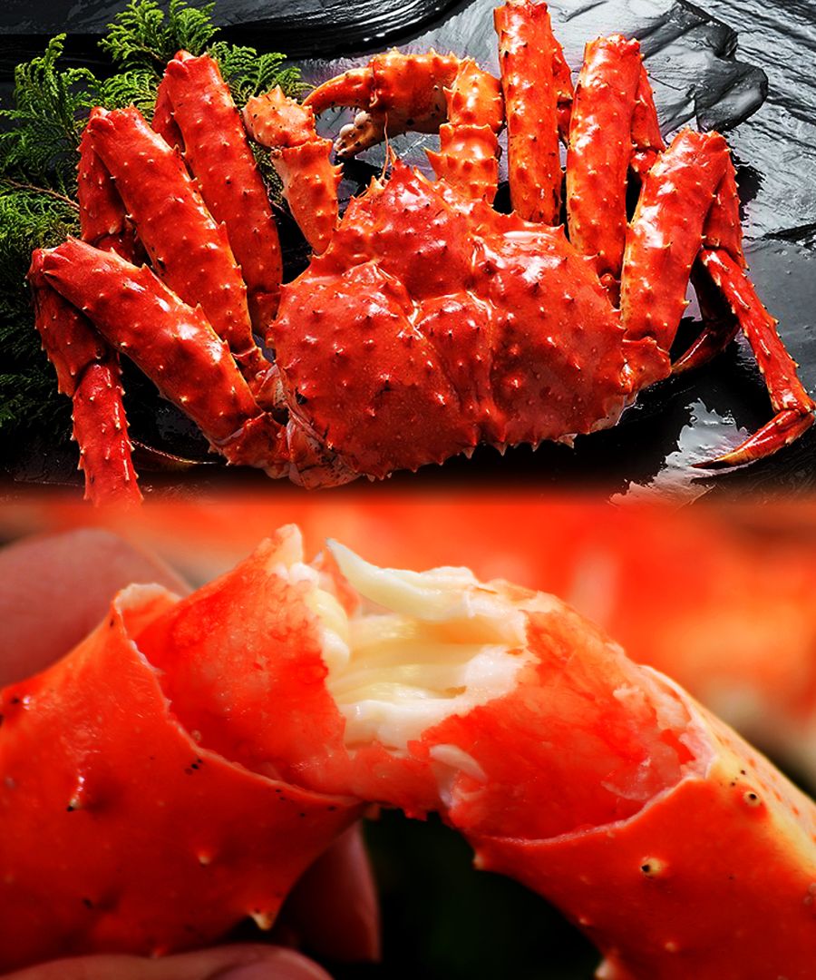 シャドーボクサー様　冷凍ボイル　タラバガニ8肩/2.0kg×8(9L) 根室杉山水産 - 札幌場外市場のオンラインショップ / ボイル冷凍
