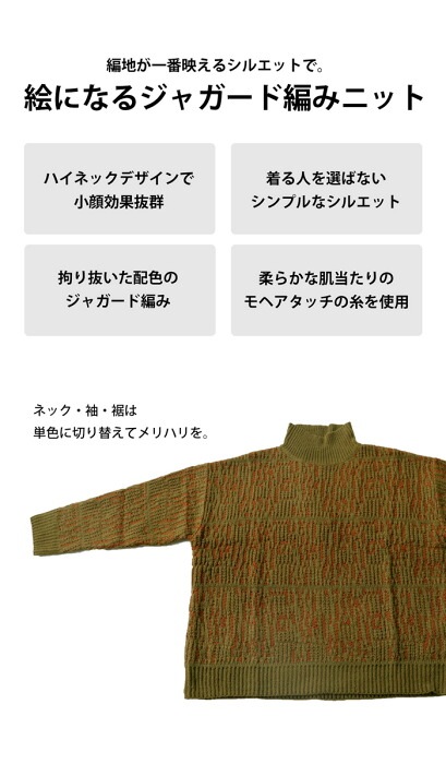 ジャガード編みニット ニット レディース トップス 送料無料・メール便