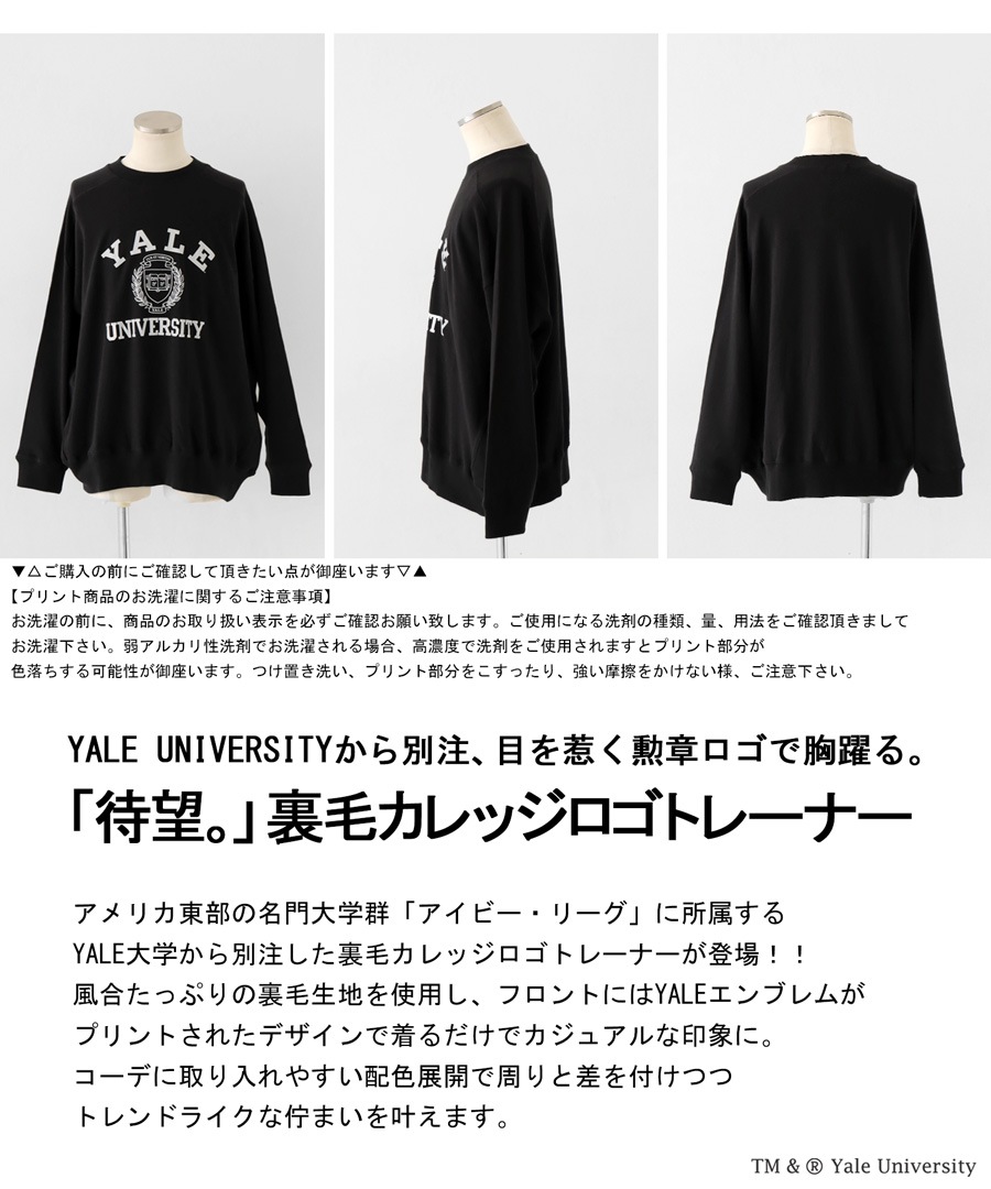 別注 YALE カレッジロゴ 裏毛プルオーバー メンズ 送料無料