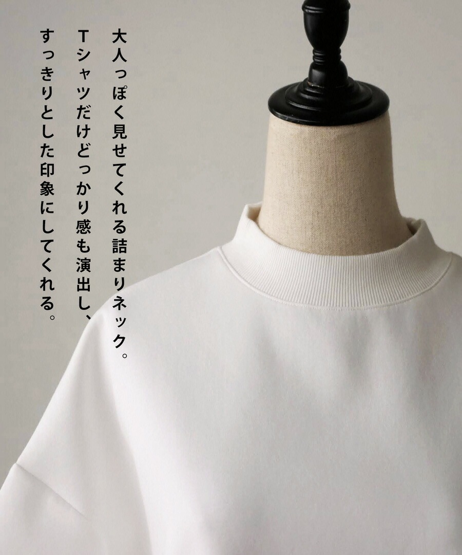 モックネック ポンチTシャツ Tシャツ レディース トップス・(100