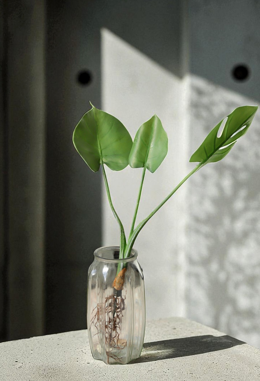 フェイクモンステラ 観葉植物 インテリア 造花 根付き リアル ・メール