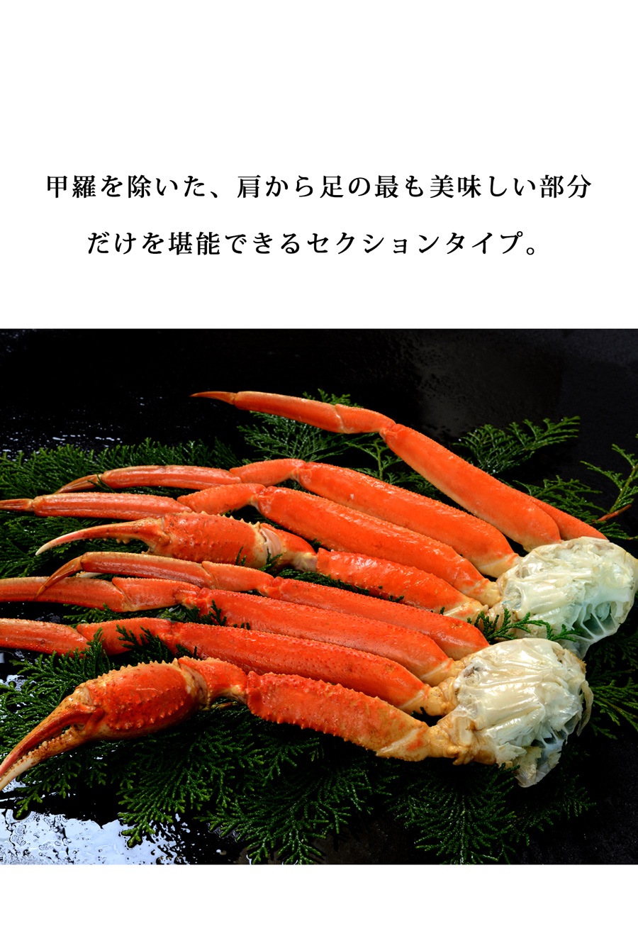 冷凍 ボイルズワイガニ セクション 6肩 送料無料・メール便不可 | ALL