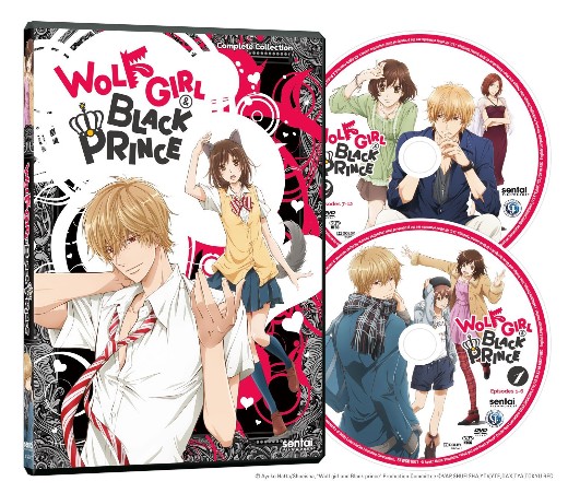 DVD「オオカミ少女と黒王子 全6巻」全12話+特典映像 レンタル落ち オオカミ少女と黒王子 全12話BOXセット | DVD,日本アニメ DVD