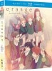 BD+DVD��orange  ����󥸡���13�å���ܥѥå����᡼�����Ͳ�����