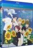 BD��Free! �ե꡼ -Eternal Summer- ��2������13��+OVABOX���åȡ�����