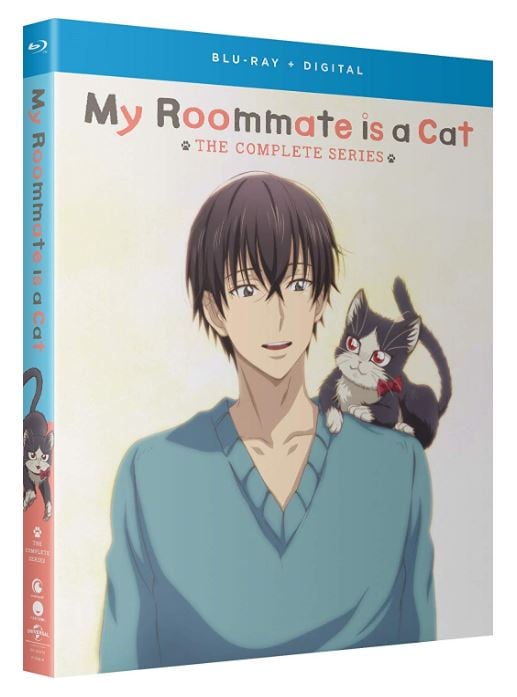 アニメの部屋やさしいビジネス英語 1999年4月から00年3月 12冊 979902.jpg
