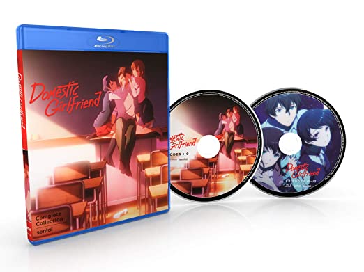 ドメスティックな彼女 Blu-ray 全12話 BD ドメスティックな彼女 全12話BOXセット | ブルーレイ,日本