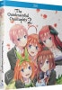 BD������ʬ�βֲǢ�(��2��)����12��BOX���å�