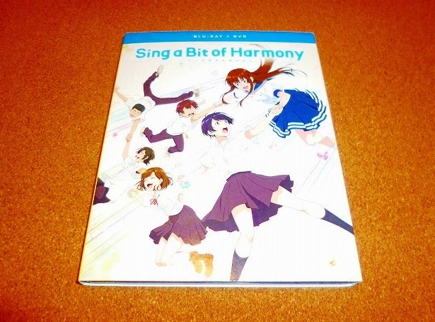 未使用DVD アイの歌声を聴かせて 劇場版 開封品 国内プレイヤー