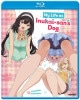 BD�����ˤʤä��鹥���ʿͤ˽���줿�� ����12��+OVA2��BOX���åȡ����������