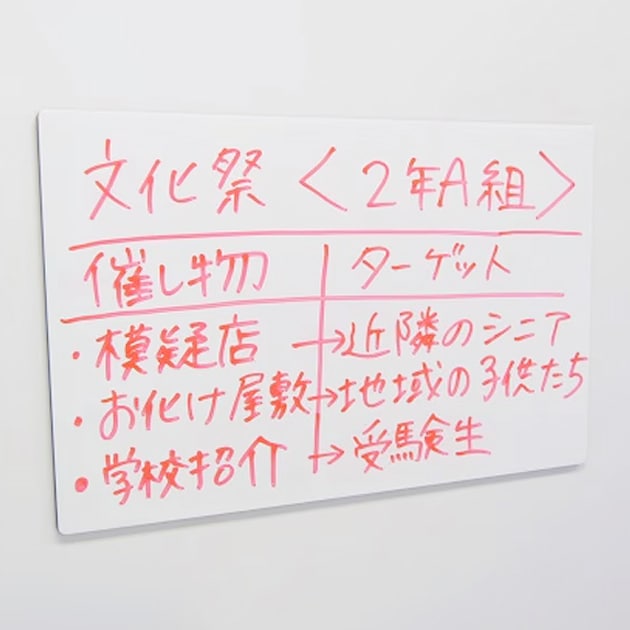 発表板 (マグネット磁脱着式マーカーボード)