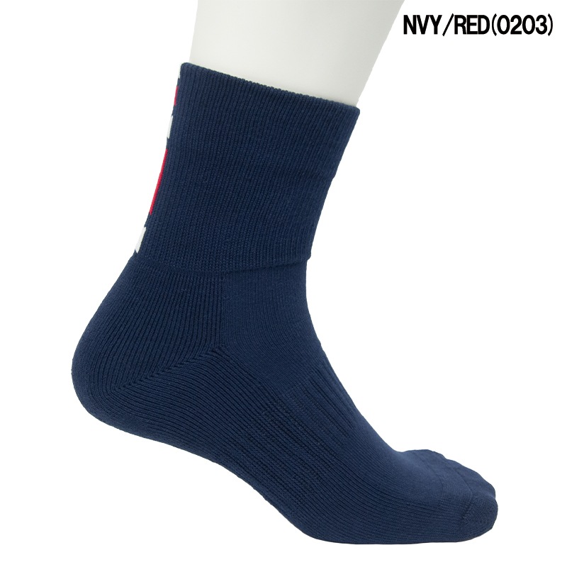 ¨ȯ IN THE PAINT 󥶥ڥ PANEL SOCKS ѥͥ륽å (ITP860SP)