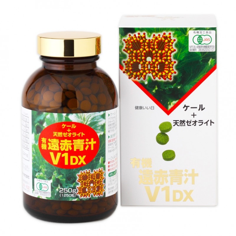 �����Ľ�V1DX 1250γ�ӥ�