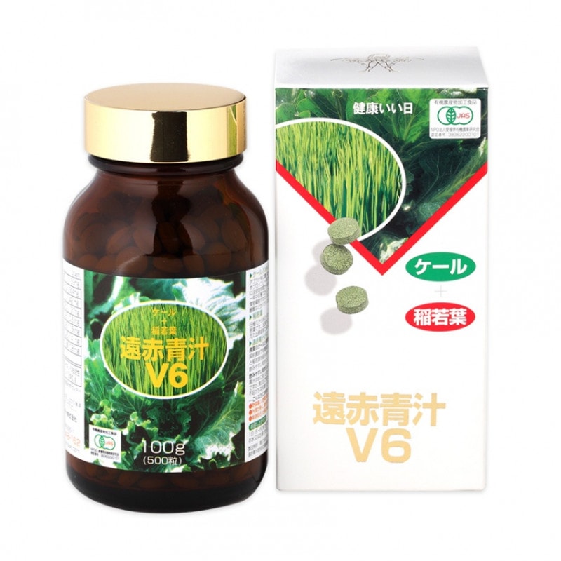 �����Ľ�V6��500γ�ӥ�
