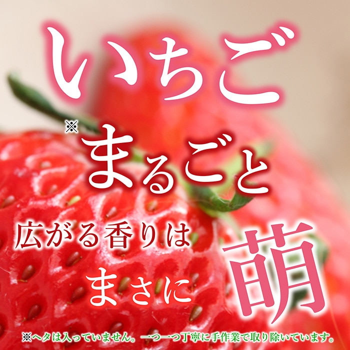 愛媛県産100%】いちごチップス(紅ほっぺ使用)25g瓶入り | こだわり商品
