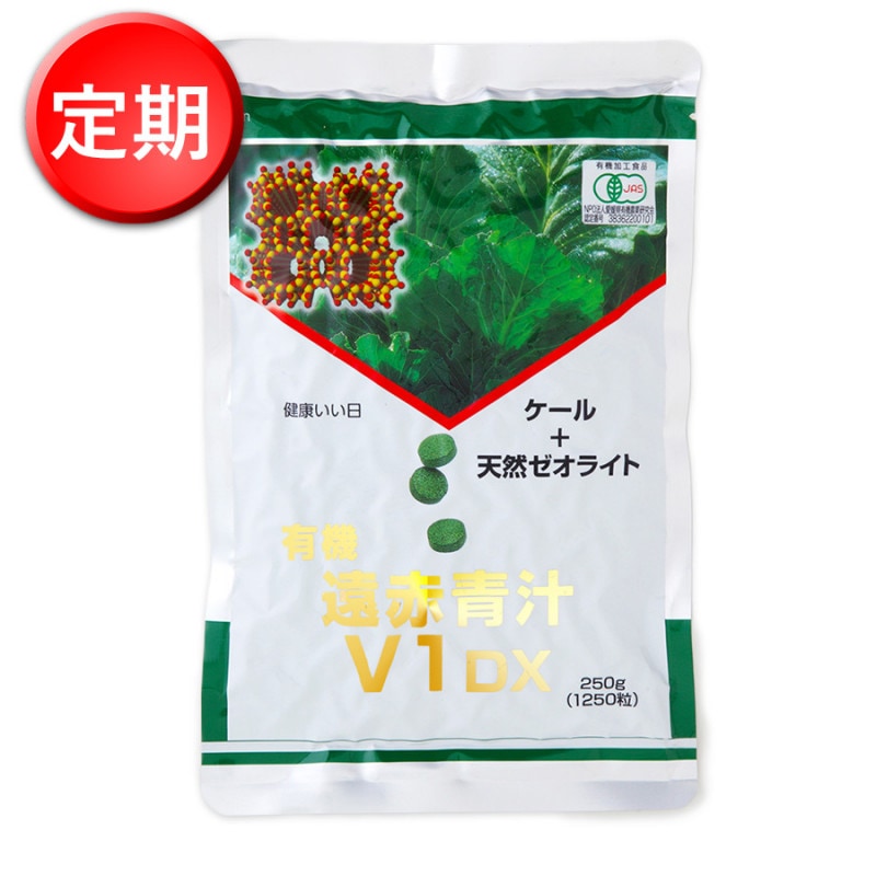 �����2����2�ġ۱����Ľ�V1DX 1250γ���ͤ��ؤ��ѡ��������2��