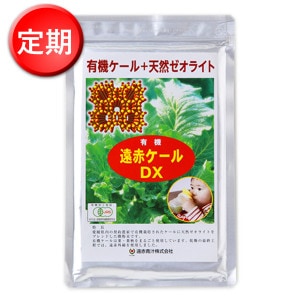 24ġ֥ͭDX100g2ȣ