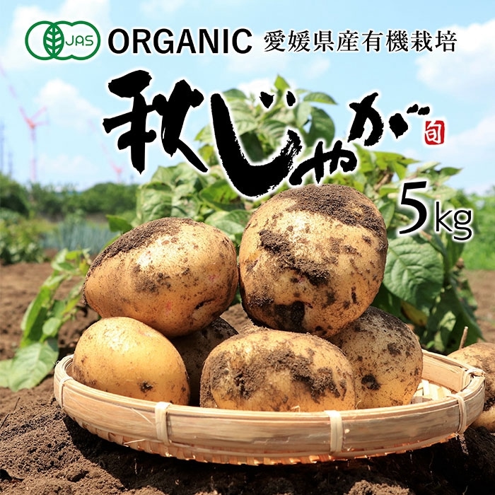 ͭ�������㤬 ���������� 5kg