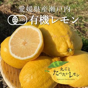 ���ι� ͭ������