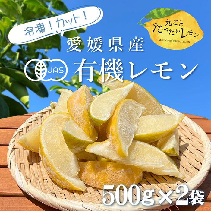 ������� ���åȥ��� 500g��2��