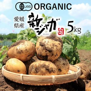 ͭ 㤬  5kg