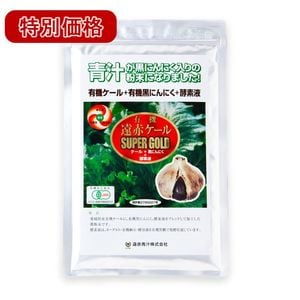 �ڥա��ɥ����︺ ���̲��ʡ�ͭ�����֥�����SUPER GOLD 100g ��̣����2027ǯ8��