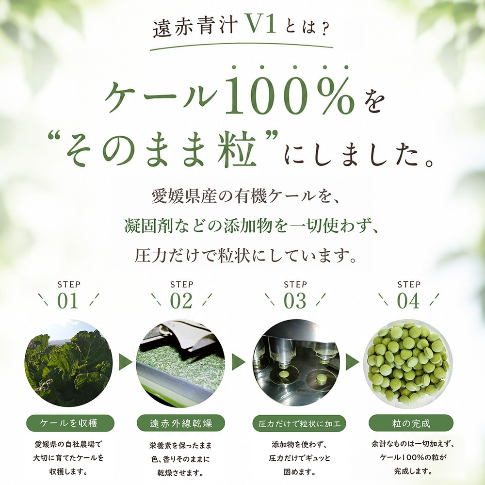 �ڤ椦�ѥ��å�����̵���۱����Ľ�V1��10γx30��