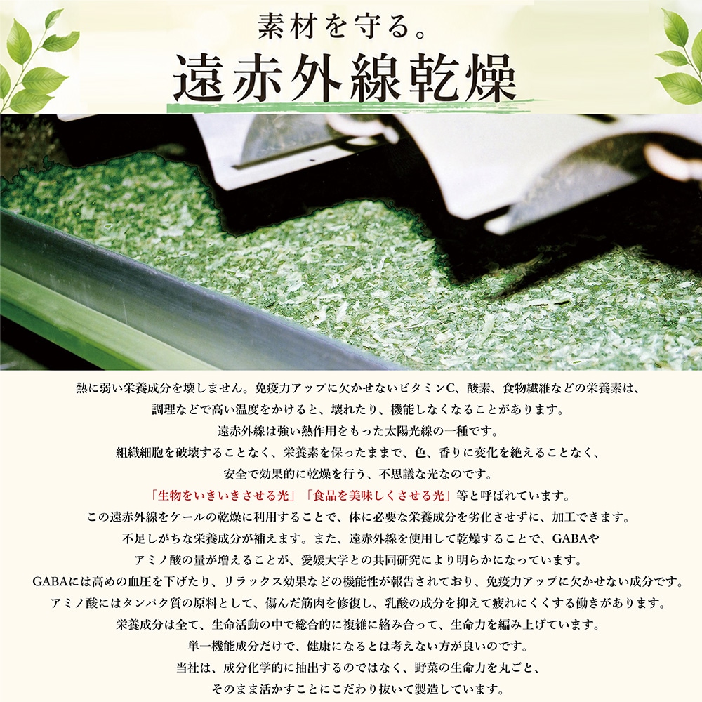 �ڤ椦�ѥ��å�����̵���۱����Ľ�V1��10γx30��