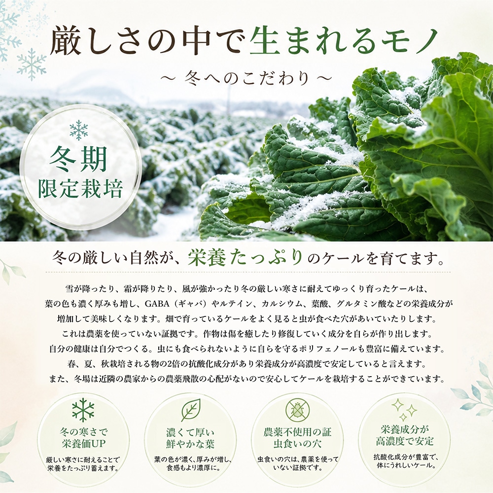 �ڤ椦�ѥ��å�����̵���۱����Ľ�V1��10γx30��