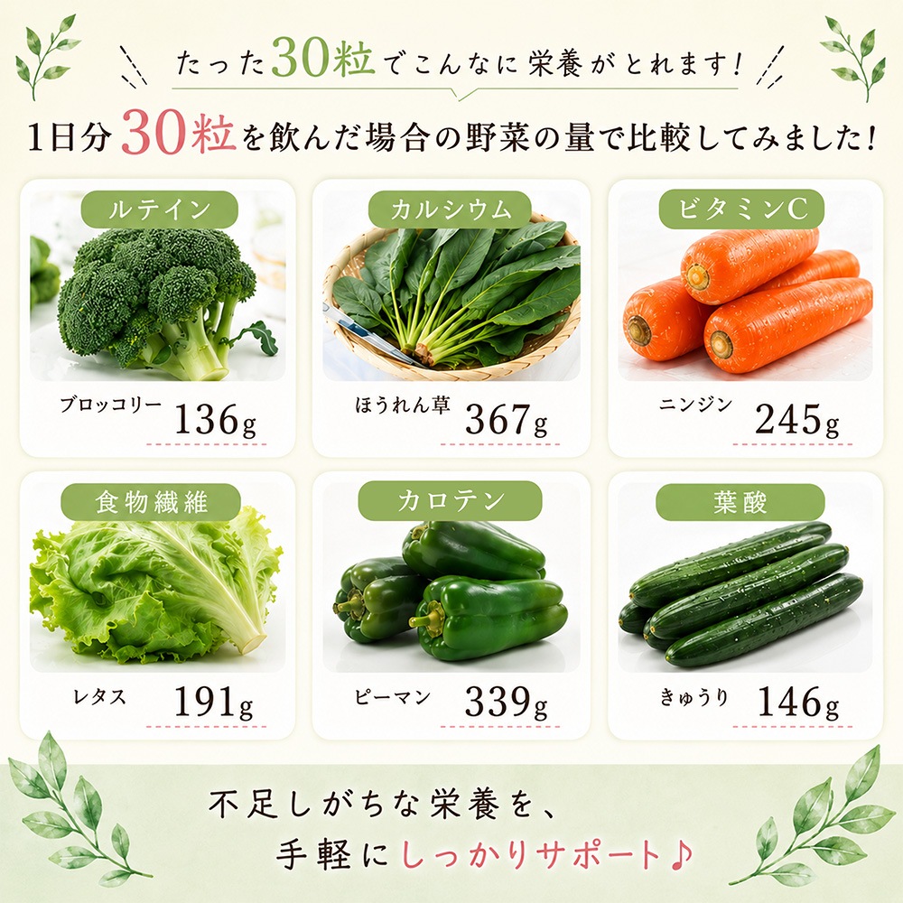 �����Ľ�V1������åȡ�10γ��10��