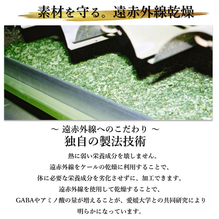 ֥ͭ롡2g10