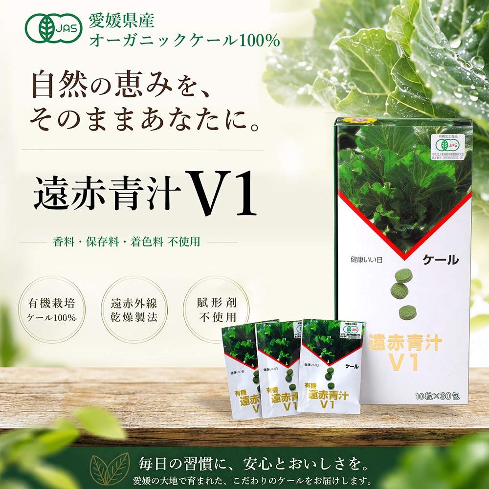 �����Ľ�V1��10γx30��