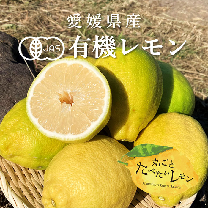 ι ͭ