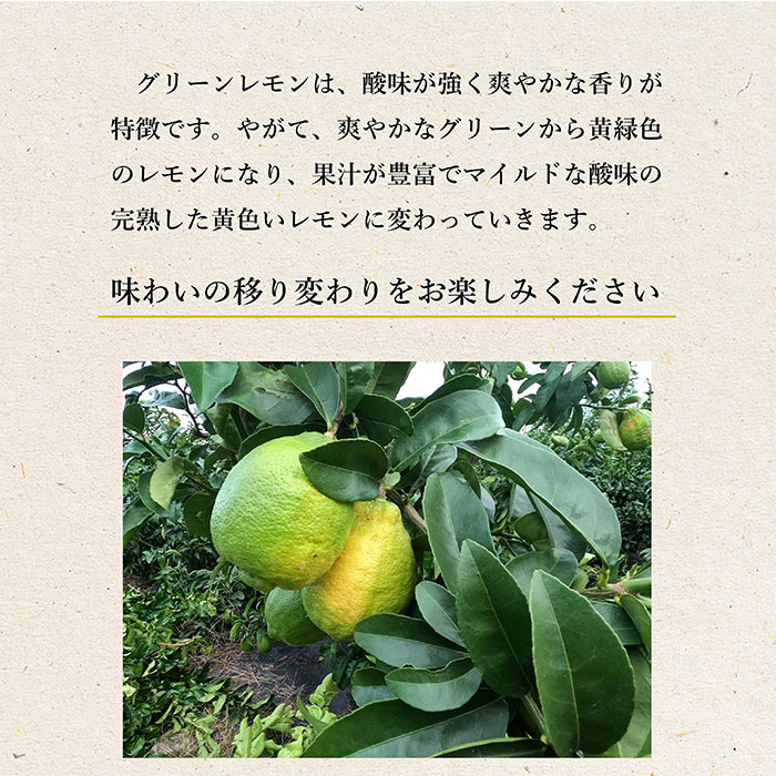 ι ͭ