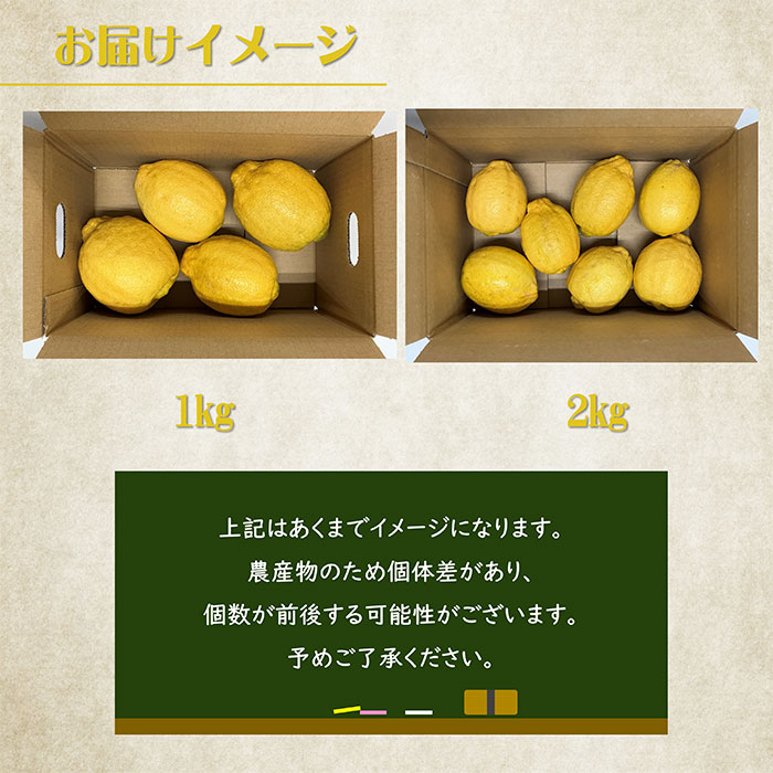 ���ι� ͭ������