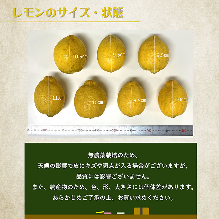 ���ι� ͭ������