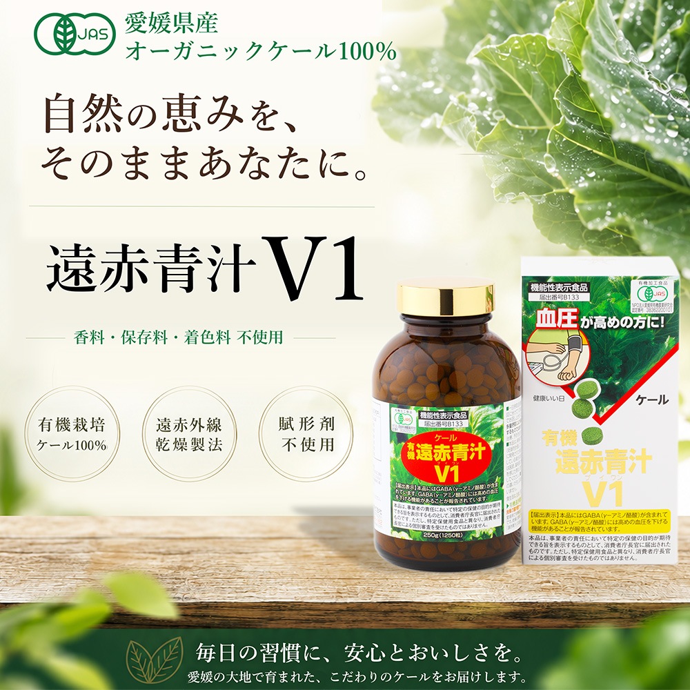 �����Ľ�V1��1250γ�ӥ�